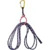 Beal Ring'o Rope Hangers -Metolius Shop opplanet beal ringo rope hangers x2 ring