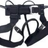 Black Diamond Alpine Bod Harness
