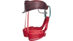 Black Diamond Momentum Harness -Metolius Shop opplanet black diamond momentum harness wild rose bd6511036012all1 av 1