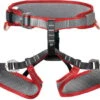 DMM Tomcat Harnesses - Kids -Metolius Shop opplanet dmm tomcat harnesses kids red grey one size tomc main