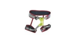 Edelrid Zack Gym Climbing Harness