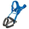 Ocun Doppler Full Body Padded Harness - Kids 3 Ocun Doppler Full Body Padded Harness - Kids -Metolius Shop opplanet ocun doppler full body padded harness kids car blue one size 4581 car blue uni main