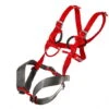 Ocun Mojo Full Body Harness - Kids -Metolius Shop opplanet ocun mojo full body harness kids red grey one size 4703 red grey uni main