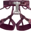 Petzl LUNA Womens Harness -Metolius Shop opplanet petzl luna womens harness violet large c035ba03 main