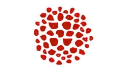 Trango Drop Art Starter Kit