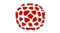 Trango Myorcan Starter Kit